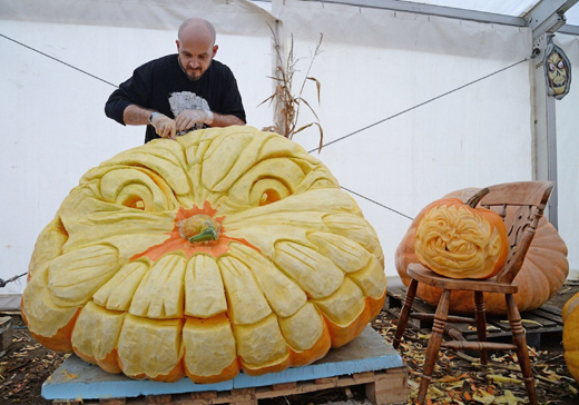 Pumpkin grown